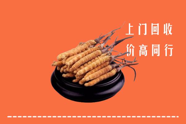 高价求购：文山州丘北县回收散虫草