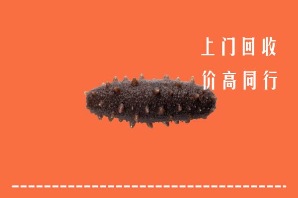 高价求购：文山州丘北县回收海参