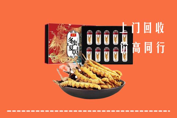 文山州丘北县回收虫草